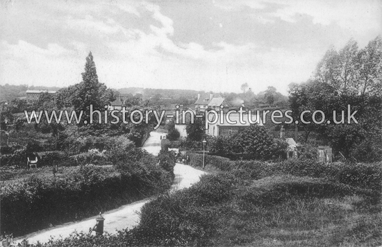 A Lane, South Weald, Essex. c.1909
